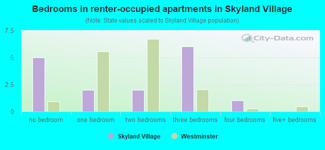 Bedrooms in renter-occupied apartments in Skyland Village