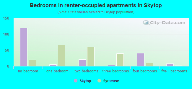 Bedrooms in renter-occupied apartments in Skytop