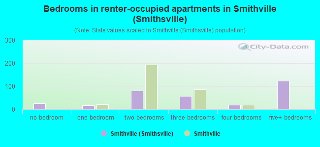 Bedrooms in renter-occupied apartments in Smithville (Smithsville)