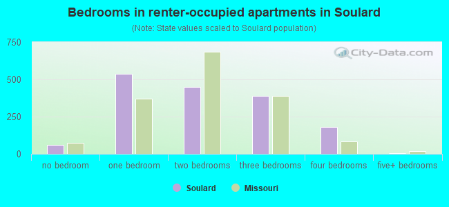 Bedrooms in renter-occupied apartments in Soulard