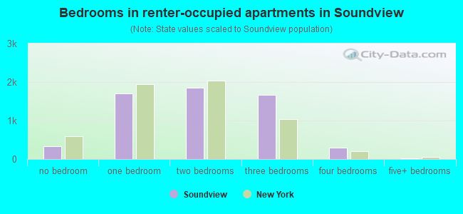 Bedrooms in renter-occupied apartments in Soundview