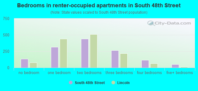 Bedrooms in renter-occupied apartments in South 48th Street