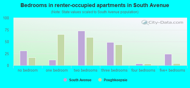 Bedrooms in renter-occupied apartments in South Avenue