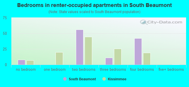 Bedrooms in renter-occupied apartments in South Beaumont