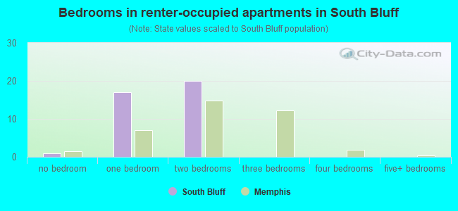 Bedrooms in renter-occupied apartments in South Bluff