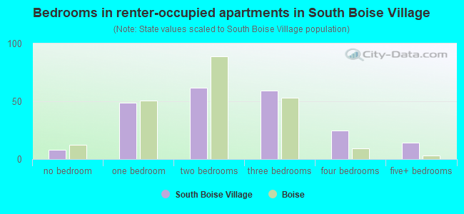 Bedrooms in renter-occupied apartments in South Boise Village