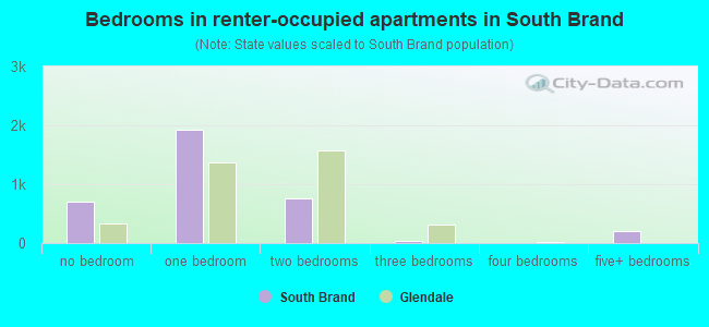 Bedrooms in renter-occupied apartments in South Brand