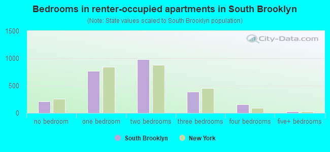 Bedrooms in renter-occupied apartments in South Brooklyn