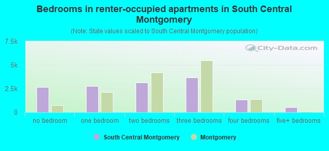 Bedrooms in renter-occupied apartments in South Central Montgomery