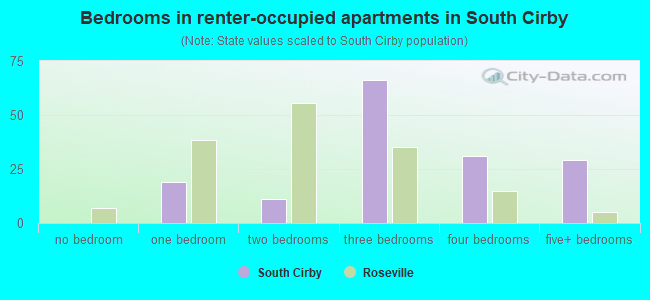 Bedrooms in renter-occupied apartments in South Cirby