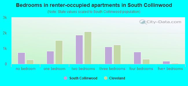 Bedrooms in renter-occupied apartments in South Collinwood
