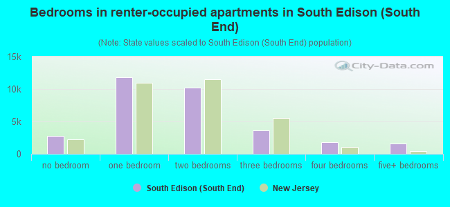 Bedrooms in renter-occupied apartments in South Edison (South End)