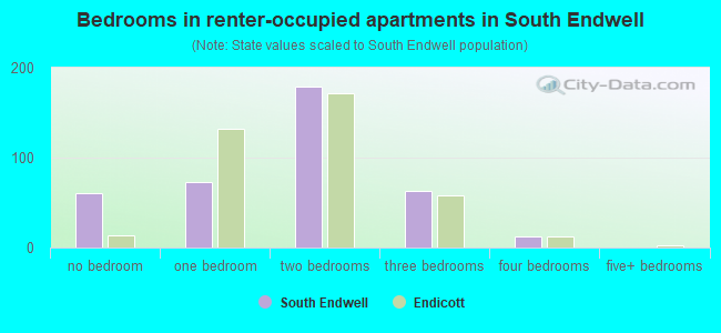 Bedrooms in renter-occupied apartments in South Endwell