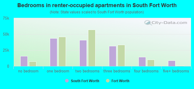 Bedrooms in renter-occupied apartments in South Fort Worth