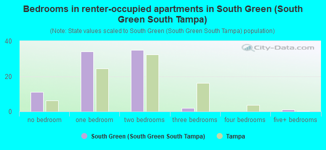 Bedrooms in renter-occupied apartments in South Green (South Green South Tampa)