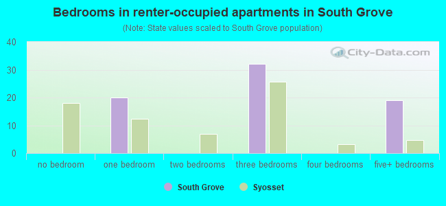 Bedrooms in renter-occupied apartments in South Grove