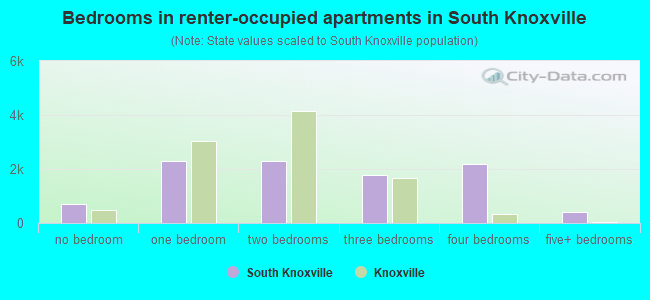 Bedrooms in renter-occupied apartments in South Knoxville