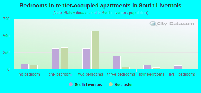 Bedrooms in renter-occupied apartments in South Livernois