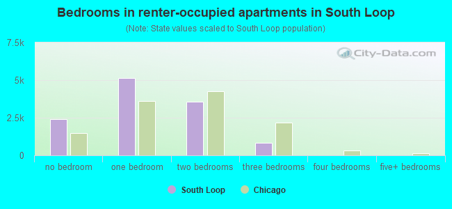 Bedrooms in renter-occupied apartments in South Loop
