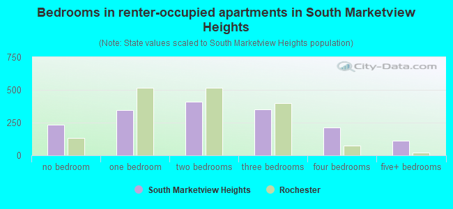 Bedrooms in renter-occupied apartments in South Marketview Heights