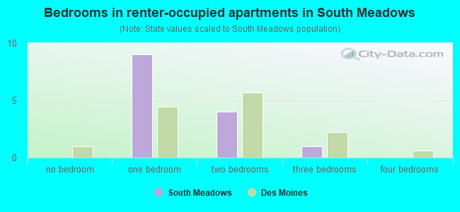 Bedrooms in renter-occupied apartments in South Meadows