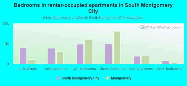 Bedrooms in renter-occupied apartments in South Montgomery City