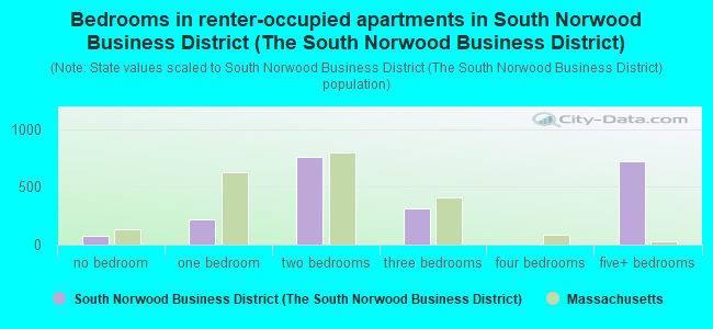 Bedrooms in renter-occupied apartments in South Norwood Business District (The South Norwood Business District)