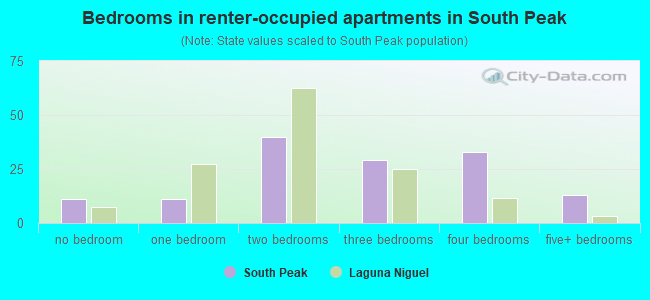 Bedrooms in renter-occupied apartments in South Peak