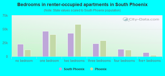 Bedrooms in renter-occupied apartments in South Phoenix