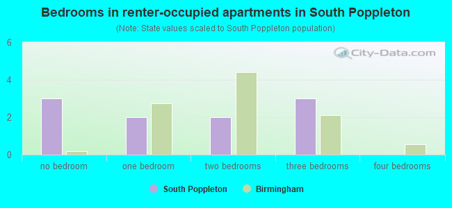 Bedrooms in renter-occupied apartments in South Poppleton