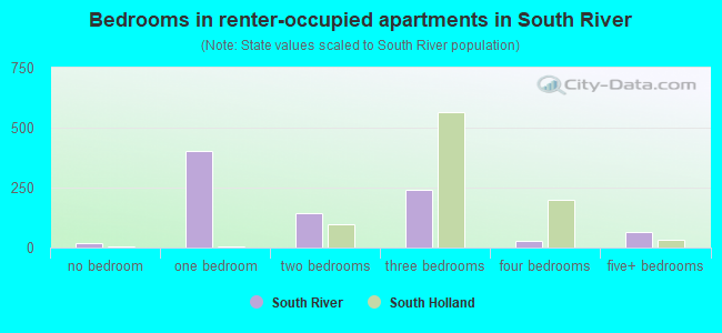 Bedrooms in renter-occupied apartments in South River