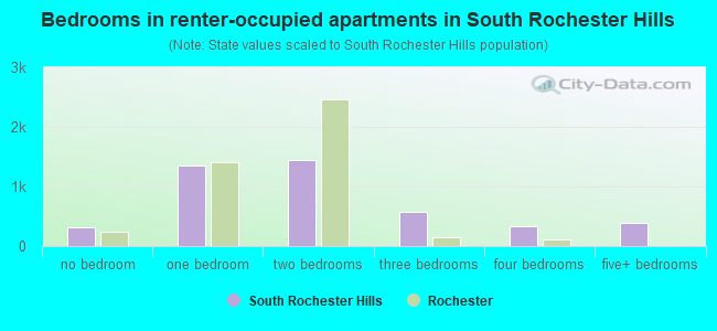Bedrooms in renter-occupied apartments in South Rochester Hills