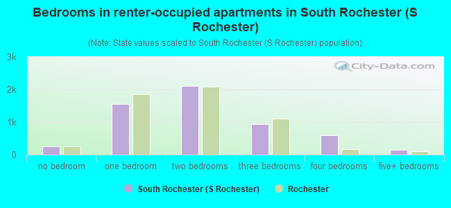Bedrooms in renter-occupied apartments in South Rochester (S Rochester)