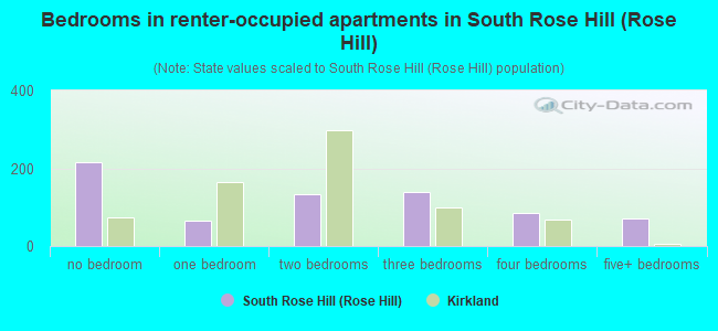 Bedrooms in renter-occupied apartments in South Rose Hill (Rose Hill)