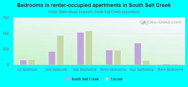 Bedrooms in renter-occupied apartments in South Salt Creek
