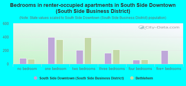 Bedrooms in renter-occupied apartments in South Side Downtown (South Side Business District)