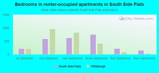 Bedrooms in renter-occupied apartments in South Side Flats