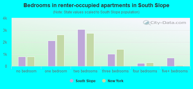Bedrooms in renter-occupied apartments in South Slope