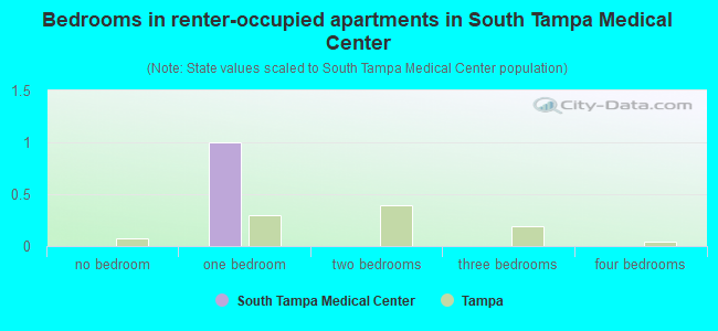 Bedrooms in renter-occupied apartments in South Tampa Medical Center
