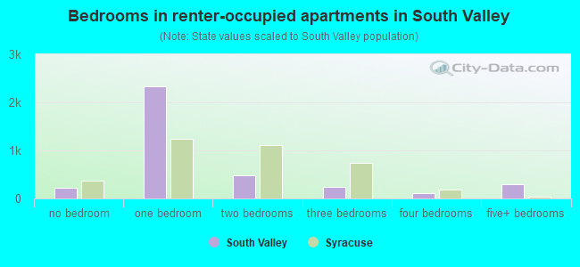 Bedrooms in renter-occupied apartments in South Valley