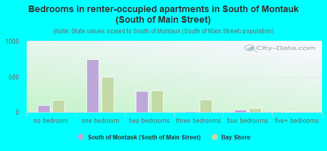 Bedrooms in renter-occupied apartments in South of Montauk (South of Main Street)
