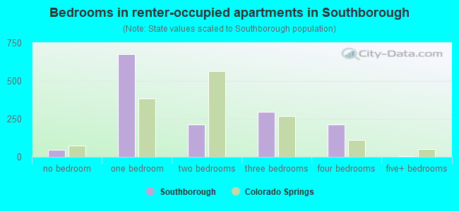Bedrooms in renter-occupied apartments in Southborough