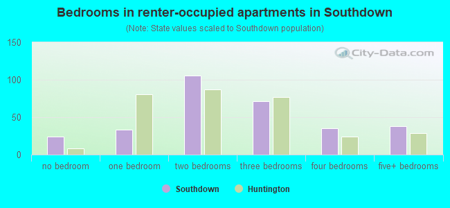Bedrooms in renter-occupied apartments in Southdown