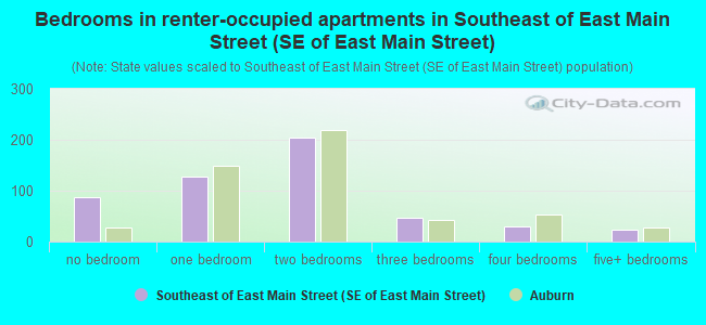 Bedrooms in renter-occupied apartments in Southeast of East Main Street (SE of East Main Street)
