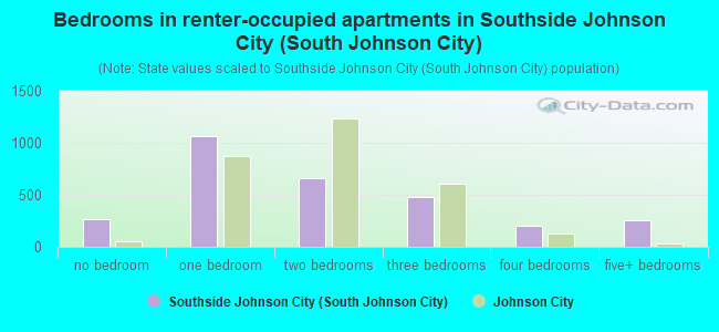 Bedrooms in renter-occupied apartments in Southside Johnson City (South Johnson City)
