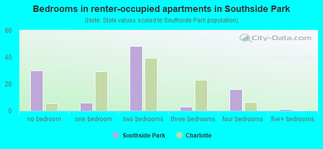 Bedrooms in renter-occupied apartments in Southside Park