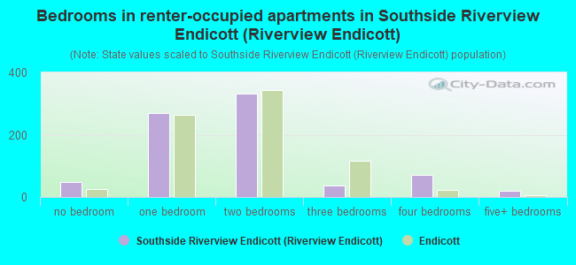Bedrooms in renter-occupied apartments in Southside Riverview Endicott (Riverview Endicott)
