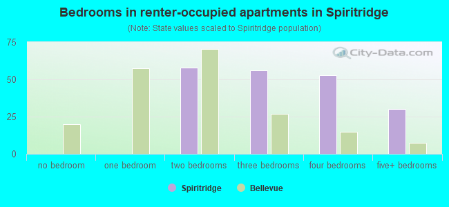Bedrooms in renter-occupied apartments in Spiritridge