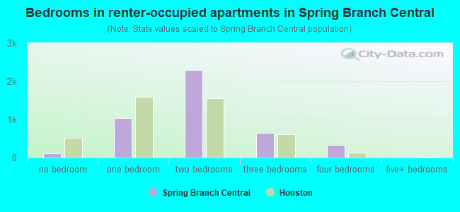Bedrooms in renter-occupied apartments in Spring Branch Central