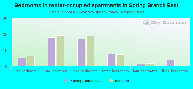 Bedrooms in renter-occupied apartments in Spring Branch East